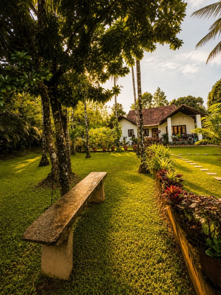 Sunrise on the lawn