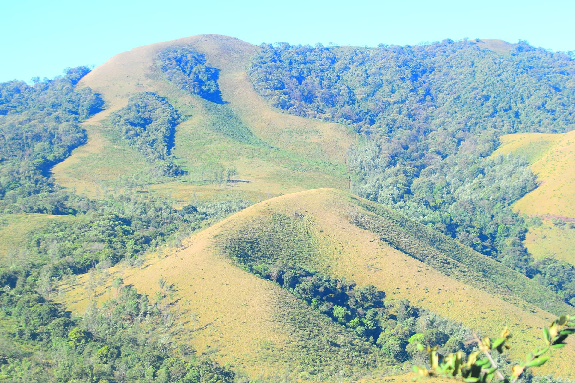 A 2-day Chikmagalur itinerary that is not a checklist